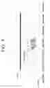 Fig. 07 - Imaging apparatus and imaging method for outputting image based on motion