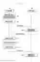Fig. 11 - Method and apparatus for adjusting color