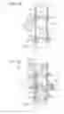 Fig. 23 - Solid-state imaging device and electronic apparatus