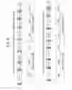 Fig. 07 - Transmission device, transmission method of transmission stream, and processing device