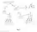 Fig. 02 - Managing wireless transmission capacity
