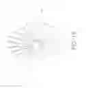 Fig. 20 - Rotary transducer with improved high frequency output