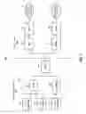 Fig. 02 - USER EQUIPMENT BASED PSEUDO-RESELECTION