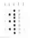 Fig. 05 - PRIORITY MEASUREMENT RULES FOR CHANNEL MEASUREMENT OCCASIONS
