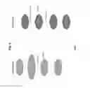 Fig. 05 - Device-to-device communications based on capacitive sensing and coupling via human body or direct device-to-device coupling