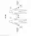 Fig. 16 - Device-to-device communications based on capacitive sensing and coupling via human body or direct device-to-device coupling