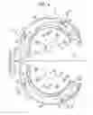 Fig. 04 - Induction coil unit