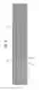Fig. 05 - In and relating to antenna systems