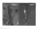 Fig. 01 - Blueberry plant, EB 9-2