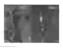 Fig. 02 - Blueberry plant, EB 9-2