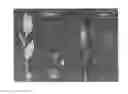 Fig. 01 - Blueberry plant 'EB 9-4'