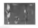 Fig. 02 - Blueberry plant 'EB 9-4'