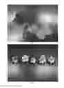 Fig. 02 - Strawberry plant named 'DrisStrawFortyThree'