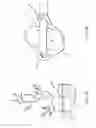 Fig. 02 - Conformal tree staking apparatus