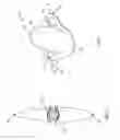 Fig. 04 - Conformal tree staking apparatus