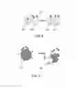 Fig. 08 - Composite absorbent particles