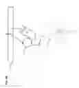 Fig. 05 - Arthropod pest trapping device, system and method