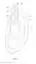 Fig. 13 - Organ perfusion system and device
