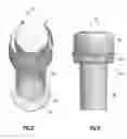 Fig. 32 - Methods and devices for preserving tissues