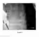 Fig. 08 - MICRONIZED WOOD PRESERVATIVE FORMULATIONS