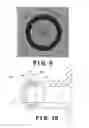 Fig. 09 - ROTATING NOZZLE DIE MACHINE FOR DOUGH EXTRUSION