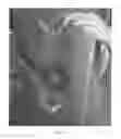 Fig. 02 - FOOD SECURING DEVICE
