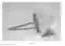 Fig. 08 - FOOD SECURING DEVICE