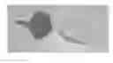 Fig. 09 - FOOD SECURING DEVICE