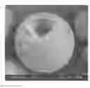 Fig. 01 - METHOD FOR PREPARING ORGANIC COATING POROUS GRANULES FOR FISH FEED OR ASSORTED FEED AID USING BLOOD OF LIVESTOCK AND CLAY MINERALS