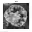 Fig. 07 - METHOD FOR PREPARING ORGANIC COATING POROUS GRANULES FOR FISH FEED OR ASSORTED FEED AID USING BLOOD OF LIVESTOCK AND CLAY MINERALS
