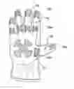 Fig. 01 - Workman's Glove