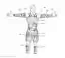 Fig. 01 - Exoskeleton system
