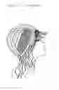Fig. 03 - HALF HEAD WIG