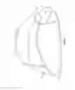 Fig. 07 - Protective helmet