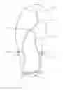 Fig. 02 - Sandal strap arrangement and tensioning system