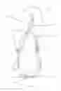Fig. 03 - Sandal strap arrangement and tensioning system