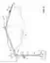 Fig. 06 - CANTILEVERED UMBRELLA WITH ROTATION SYSTEM