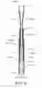 Fig. 03 - Telescopic Cosmetic Apparatus