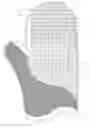 Fig. 01 - Textured device for cleaning cosmetic brushes