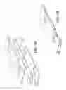Fig. 10 - NESTING TRANSPORTABLE WINE BARREL RACK