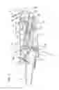 Fig. 02 - SYNCHRONIZING MECHANISM