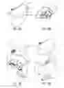 Fig. 13 - Device for frothing a liquid