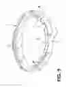 Fig. 06 - Device for a Ringformed Scraper Intended for a Floor Treatment Machine