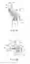Fig. 10 - Introducing apparatus