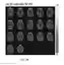 Fig. 05 - Functional Magnetic Resonance Imaging (fMRI) Methodology Using Transverse Relaxation Preparation and Non-Echo-Planar Imaging (EPI) Pulse Sequences