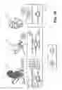 Fig. 25 - Method and system for image processing to determine patient-specific blood flow characteristics