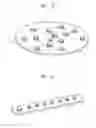 Fig. 11 - METHOD AND APPARATUS FOR ACQUIRING BIOLOGICAL INFORMATION, AND WRIST WATCH-TYPE TERMINAL USING THE SAME