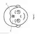 Fig. 02 - Compliant wearable patch capable of measuring electrical signals