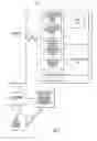 Fig. 12 - Systems, methods, compositions and devices for in vivo magnetic resonance imaging of lungs using perfluorinated gas mixtures