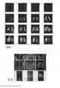 Fig. 13 - Systems, methods, compositions and devices for in vivo magnetic resonance imaging of lungs using perfluorinated gas mixtures